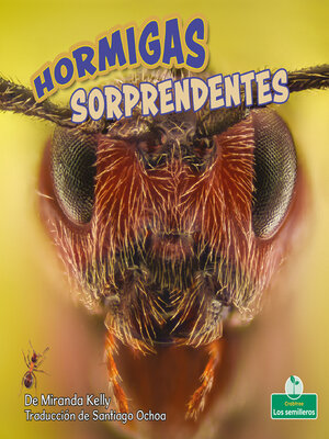 cover image of Hormigas sorprendentes (Amazing Ants)